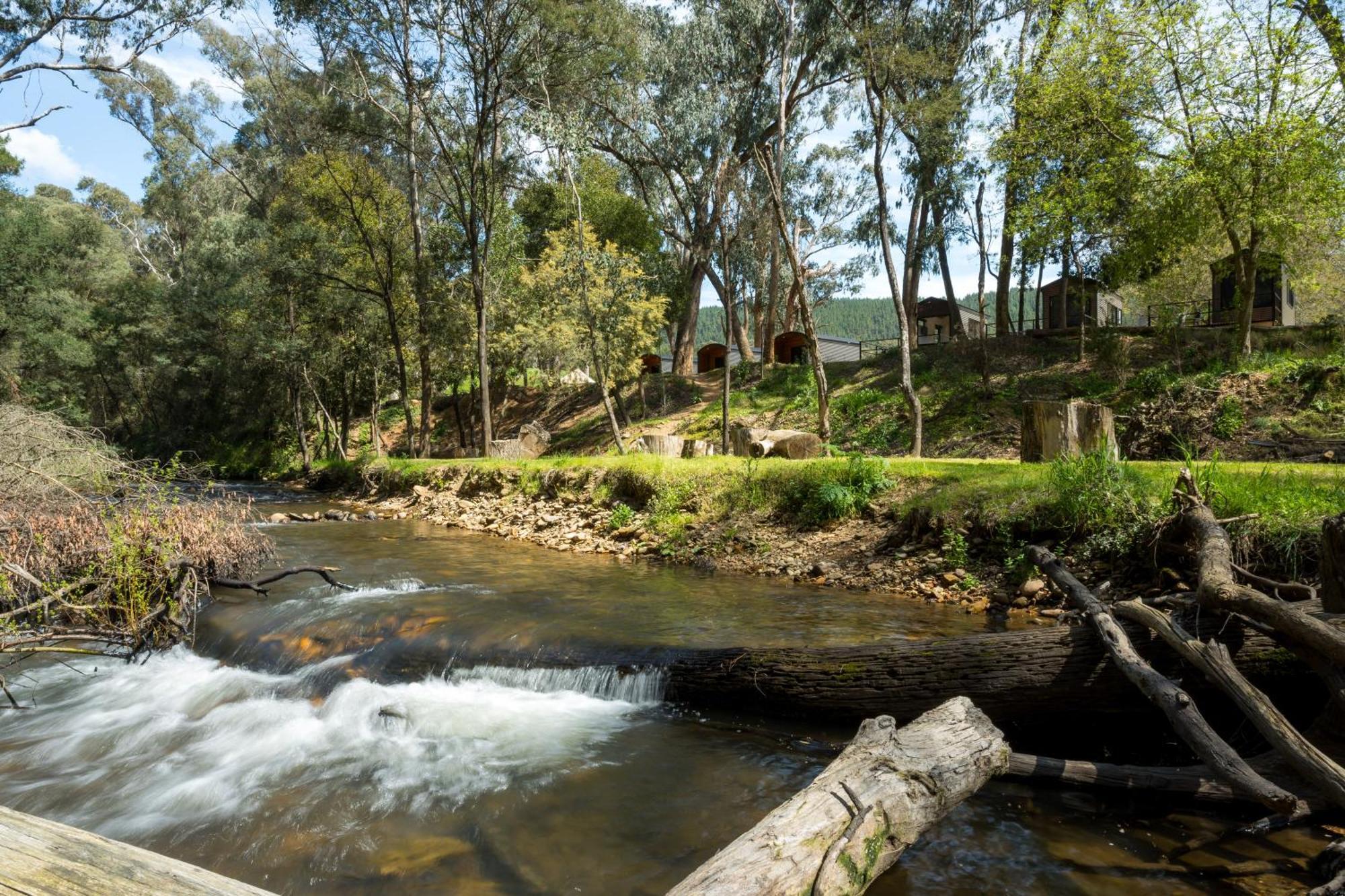 Bright Cabin Park المظهر الخارجي الصورة