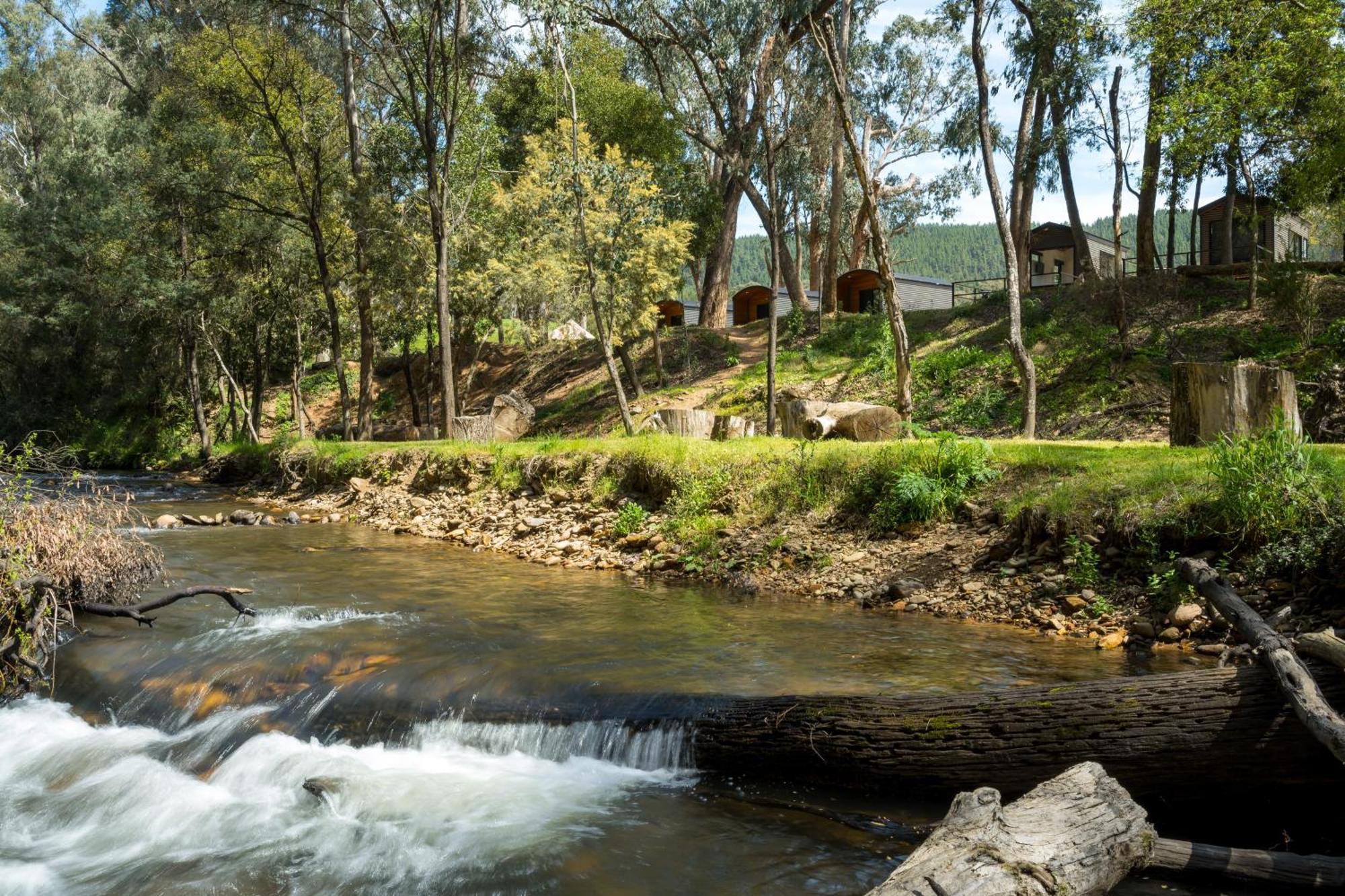 Bright Cabin Park المظهر الخارجي الصورة